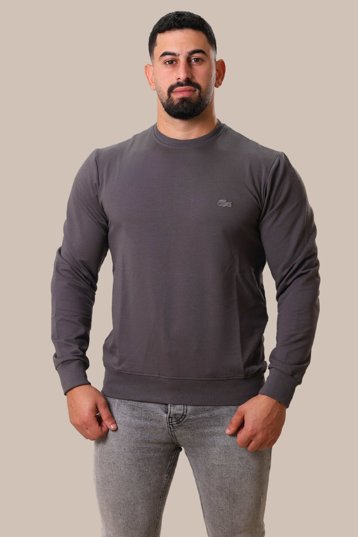 Basic Lacoste Sweatshirt  | Gray